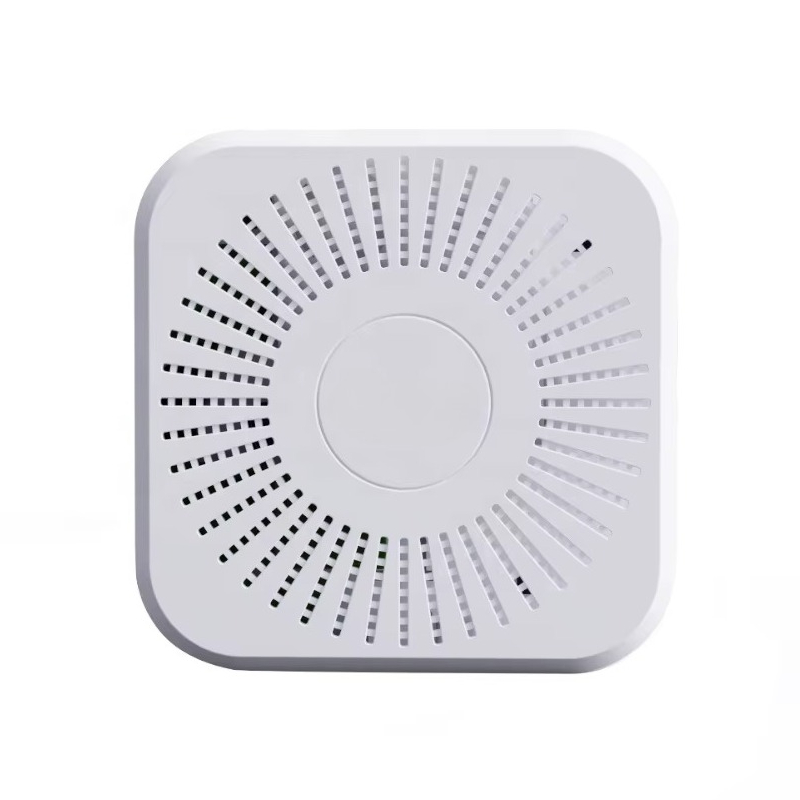 LoRaWAN WiFi 4G Luftüberwachun – Vaping Air Bewertung und Preis